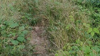 กข61สวยๆ