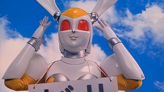 Actually, this rabbit is pretty cute. You think it's not good-looking because you haven't looked at 