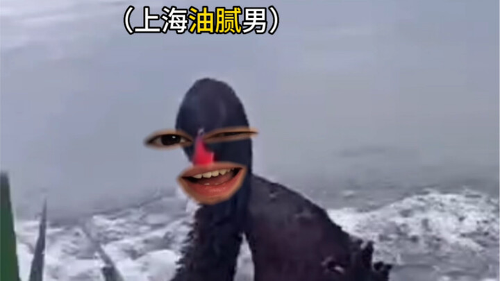 So have you ever run into a “Shanghai oily guy” while hailing a ride...?