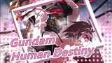 [Gundam] Gundam 0083 MV| Human Destiny