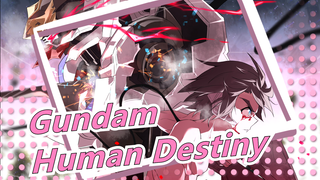 [Gundam] Gundam 0083 MV| Human Destiny