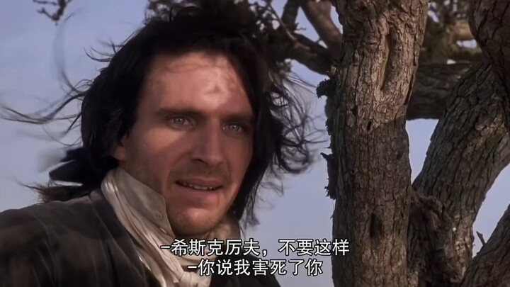 “别把我留在没有你的地狱”——《呼啸山庄》