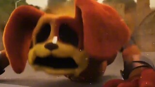 สุนัขที่น่าสงสาร