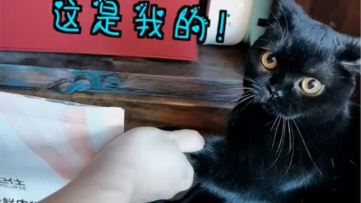 ถ้าเป็นไปได้ ลองช่วยหาบ้านอันอบอุ่นให้แมวจรจัดภายในขอบเขตที่คุณทำได้นะ!