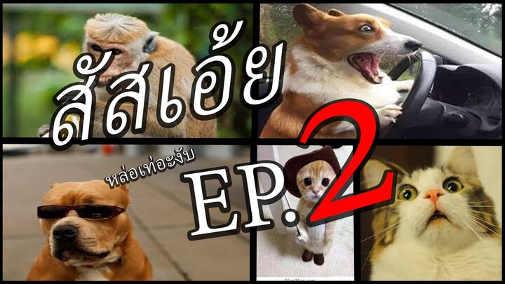 สัสเอ้ยEP.2