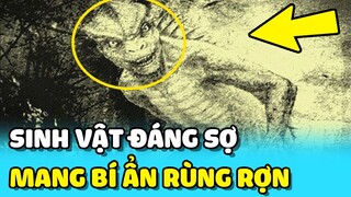 💥Những sinh vật ĐÁNG SỢ và BÍ ẨN gây ÁM ẢNH người xem trên thế giới | TIN GIẢI TRÍ