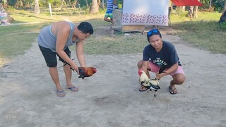 Sparring #2