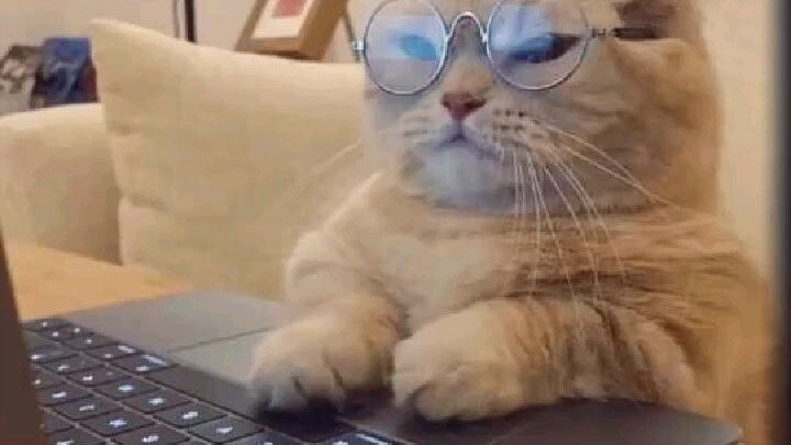 ฝากกดติดตามน้องๆด้วยนะฮะ