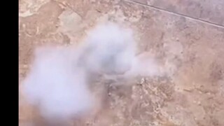 I've learned something new!