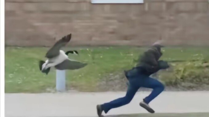 Funny pictures on the Internet (58)