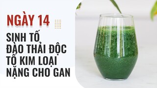 DAY 14  - SINH TỐ ĐÀO THẢI KIM LOẠI NẶNG CHO GAN