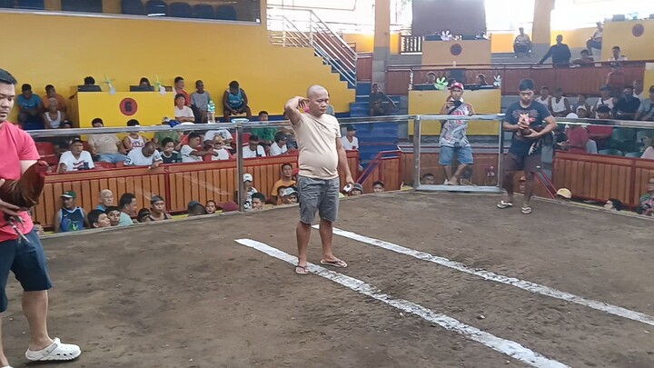 1st Fight Lose