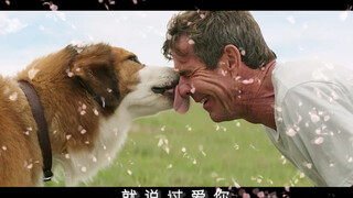 穿越人海只想与你相拥