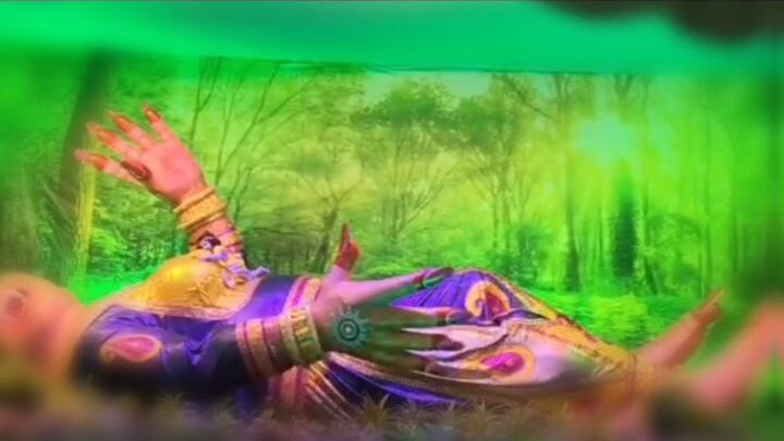 Krishna Janmashtami