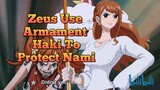 Zeus Use Armament Haki to protect Nami