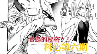 曾经的食蜂竟如此娇小？成功的秘诀竟然是？！【阿修讲漫画/科心】第六期