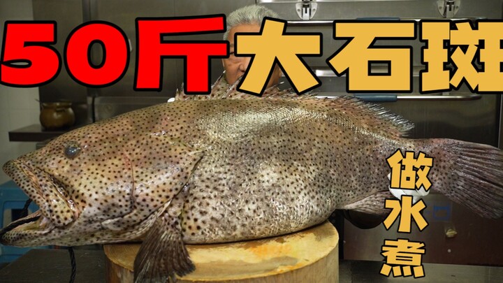 【上青杰哥】 50斤大石斑只取鱼腩做水煮
