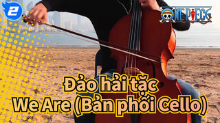 [Đảo hải tặc] We Are-Nhạc nền bởi: Cellofox (Bản phối Cello)_2