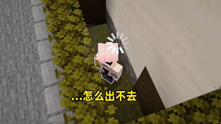 Cứu tôi với! Sao tôi lại bị kẹt ở đây vậy?