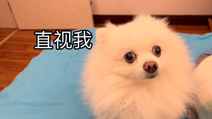 Lời thì thầm của ác quỷ: Mẹ đến rồi!