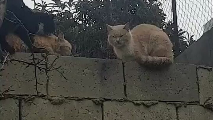 นี่ยังต้องต่อคิวอีกเหรอ?