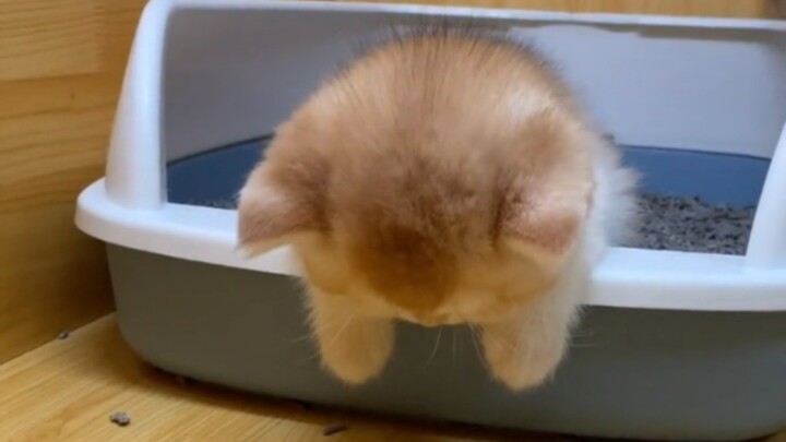 “Some little things are just born to heal you.”