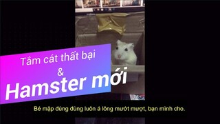 [V-log Pet 5] TẮM CÁT CHO HAMSTER THẤT BẠI VÀ BẠN HAMSTER MẶP MỚI