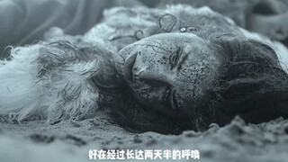 沙漠中居然长出来了无数个脑瓜子