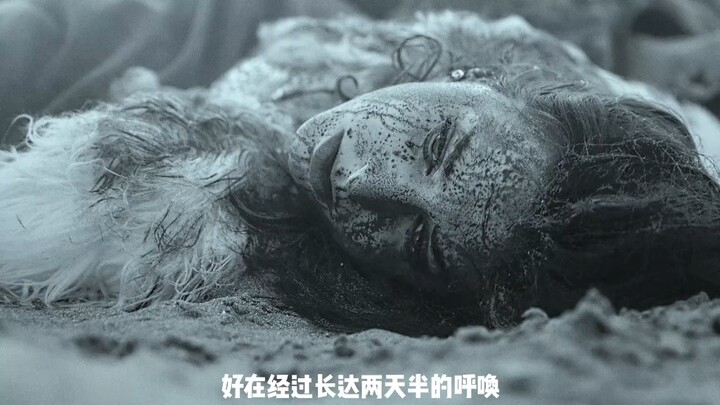 沙漠中居然长出来了无数个脑瓜子