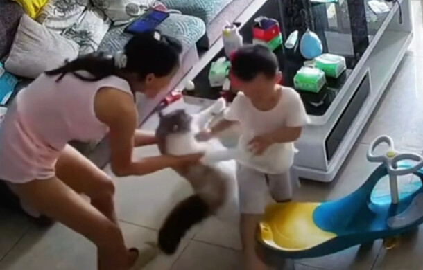 Cat: I was the one who made Mommy Mommy first!