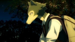 Legosi - The Hero Beastars Needs