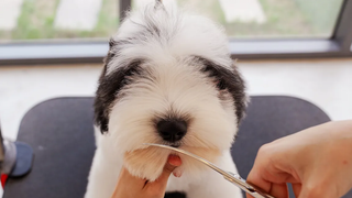 ความน่ารักที่มองไม่เห็นข้างหน้า