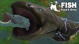อัพเดทใหม่! ปลาไหลไฟฟ้า กับ ช่อนยักษ์อเมซอน! | Fish Feed and Grow #85