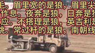 Robot wolf pack debuts at Zhuhai Air Show, video goes viral, calls for ban, it's a pity you guys rej