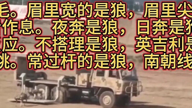 ظهرت قطعان الذئاب الآلية في معرض Zhuhai للطيران، وانتشر الفيديو على الإنترنت، وتم التحريض على حظرها،
