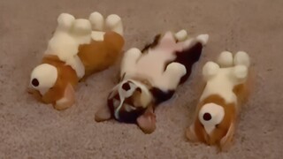 UNUSUAL MEMES COMPILATION V245