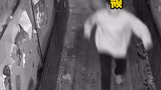 主打一个新年新气象，热闹热闹