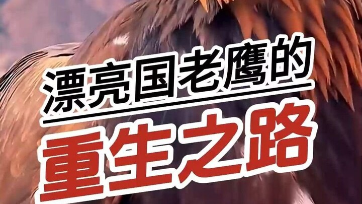 يقول الأمريكيون إن نسورهم تصبح خالدةً عندما تبلغ من العمر 40 عامًا!