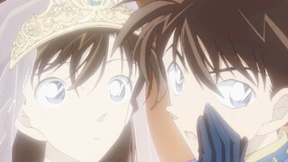 Shinran｜Can't you see you're my dream