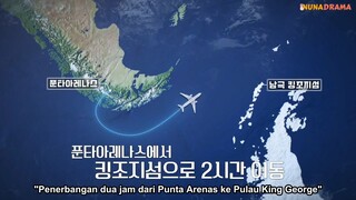 Chef of Antarctica Episode 2