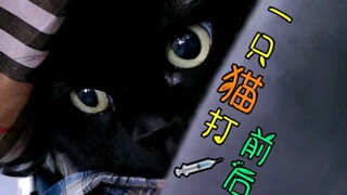 一只猫打针前后的变化…（实锤了！我们是塑料父子情）55555