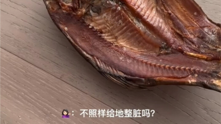 Cho mèo hoang ăn cá hun khói – Diễn biến tiếp theo