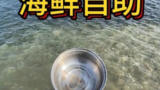هذا بوفيه مأكولات بحرية، فقط التقط بعضًا منها على الشاطئ وسوف يكون وعاءً