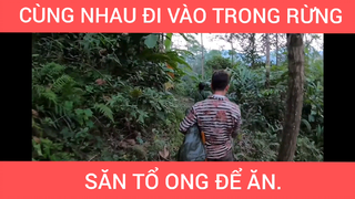 Cùng nhau vào rừng để săn tổ ong để ăn #videohaynhat