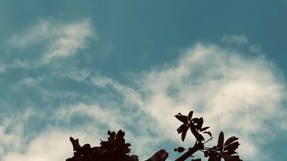 এটাই বাস্তব