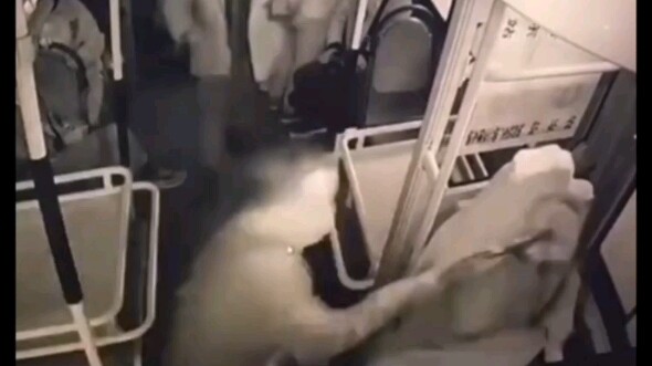 Ông lão chê xe buýt chậm quá, vung xe mua rau đánh tài xế bất tỉnh; lúc đó trên xe có nhiều hành khá