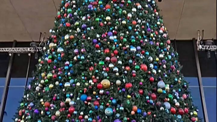 Merry Christmas.  Feliz Navidad.  12.9.2025  聖誕快樂。 2025年9月12日