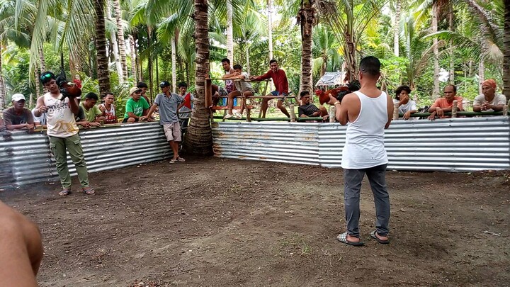 mistiso lang sa atin Dyan😅 hindi manlang sila naka sugat😅