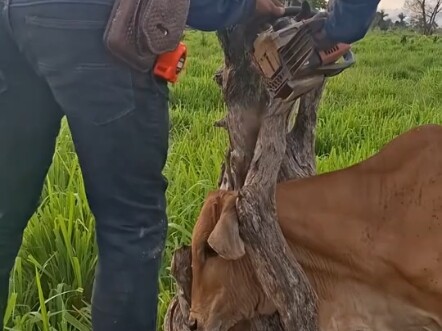 نيو: مستحيل، مستحيل！！！！