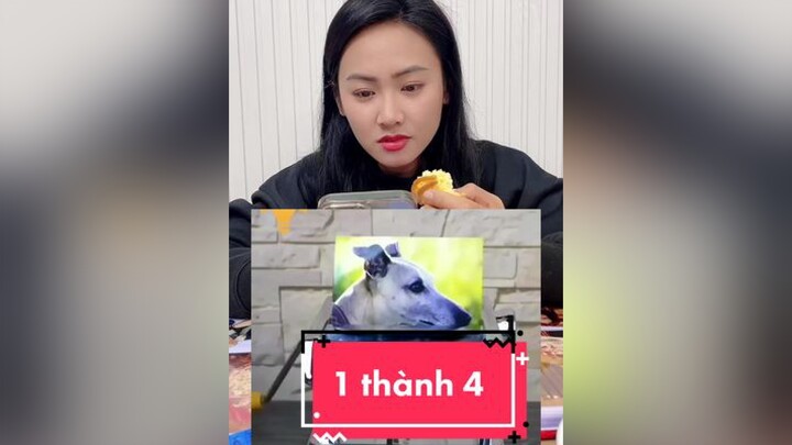 Cách biến 1 tấm ảnh thành 4 tấm  Tổng Đài trucmay tiktok funny troll hai cliphai chichiemem giadinhlaso1 idolface